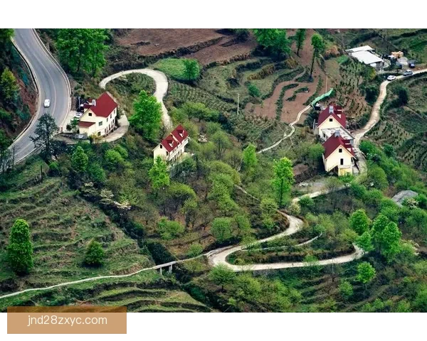 泰里尼登斯以4-0战胜鲁毕奥展现强大实力 完美演绎胜利之道