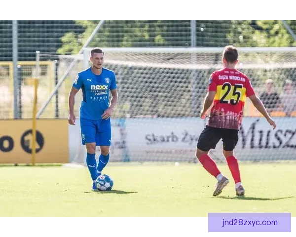 克拉约瓦大学以2比0战胜克卢日夺取重要胜利